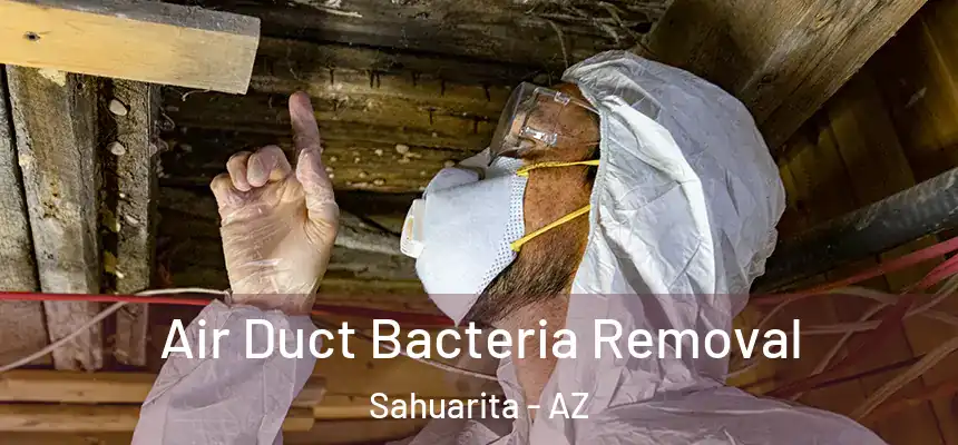  Air Duct Bacteria Removal Sahuarita - AZ