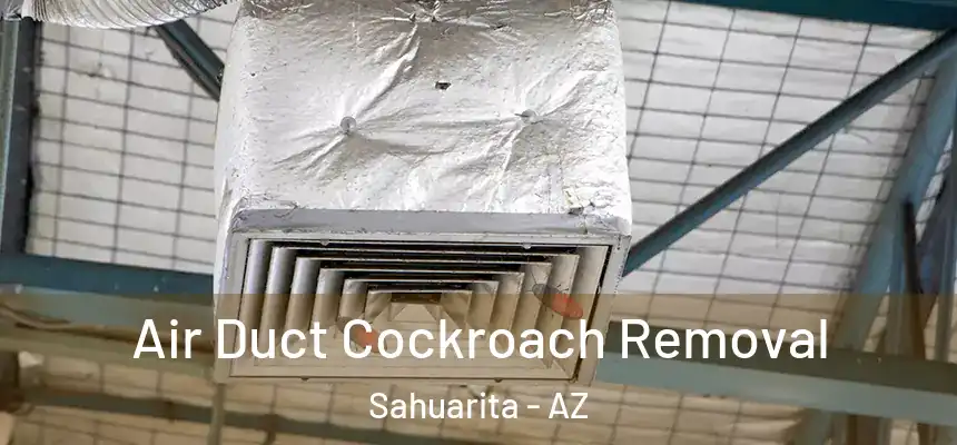  Air Duct Cockroach Removal Sahuarita - AZ
