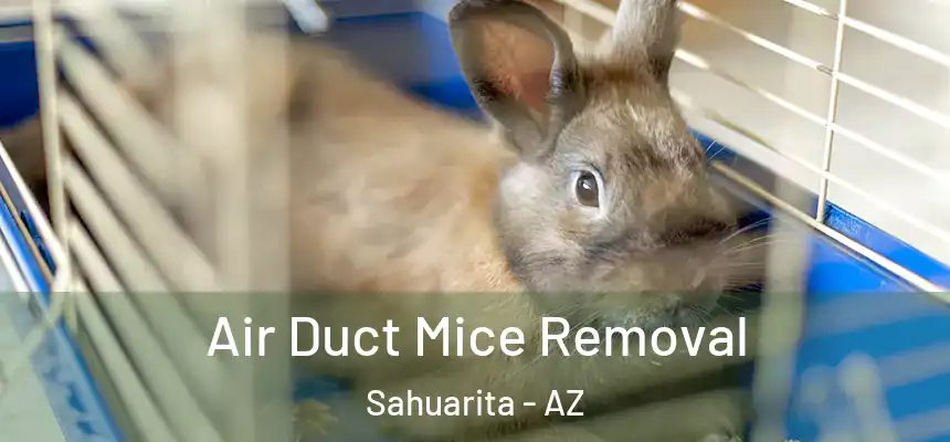  Air Duct Mice Removal Sahuarita - AZ
