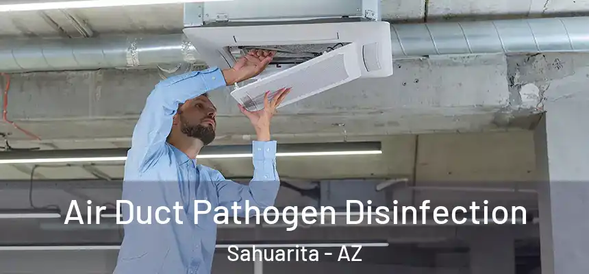  Air Duct Pathogen Disinfection Sahuarita - AZ