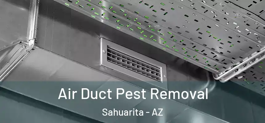  Air Duct Pest Removal Sahuarita - AZ