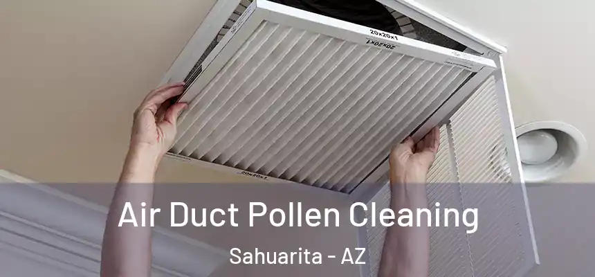  Air Duct Pollen Cleaning Sahuarita - AZ