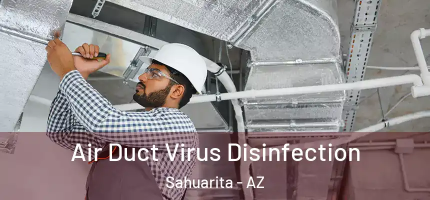  Air Duct Virus Disinfection Sahuarita - AZ