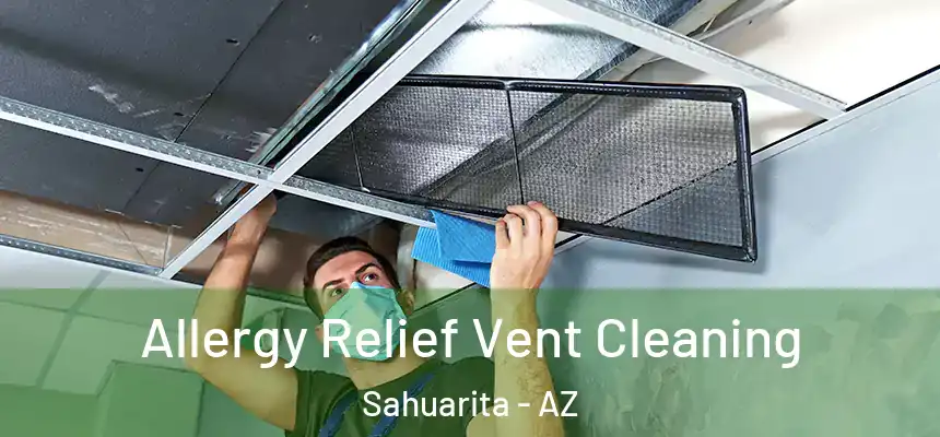  Allergy Relief Vent Cleaning Sahuarita - AZ