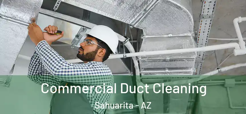  Commercial Duct Cleaning Sahuarita - AZ