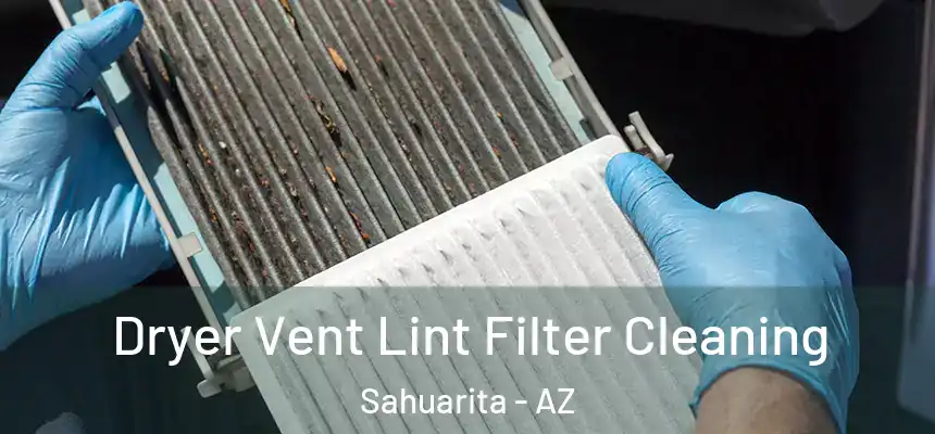  Dryer Vent Lint Filter Cleaning Sahuarita - AZ