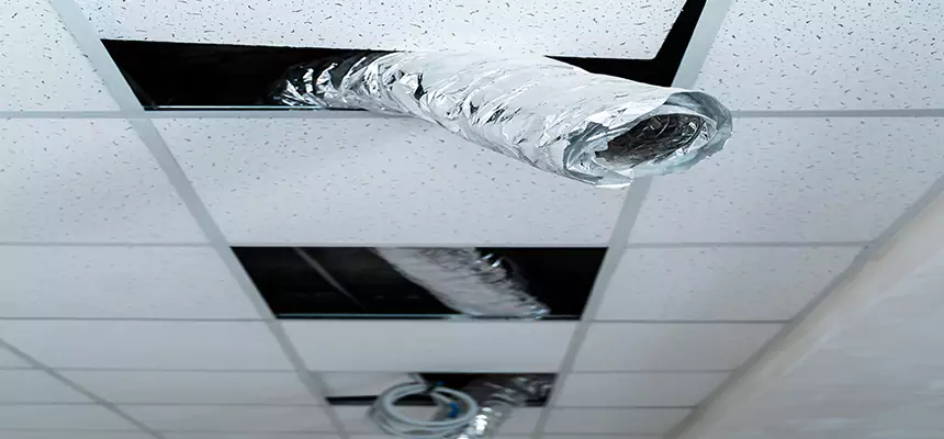 Affordable HVAC Sanitizing After Pest Removal in Sahuarita