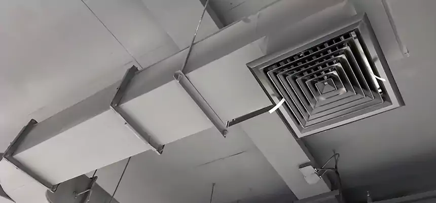 Restorative Allergy Relief Vent Cleaning – Coil, Blower & Housing Detail in Sahuarita