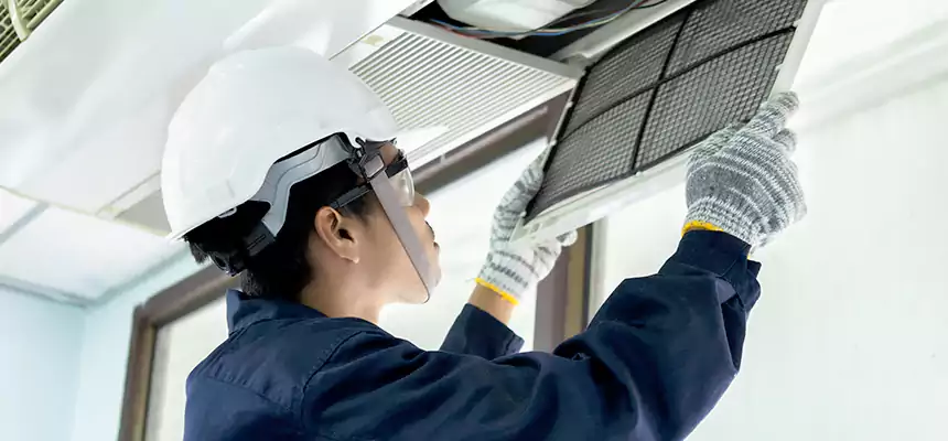 Our Mold & Mildew Removal from Air Ducts Services in Sahuarita, AZ