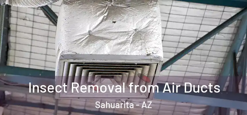  Insect Removal from Air Ducts Sahuarita - AZ