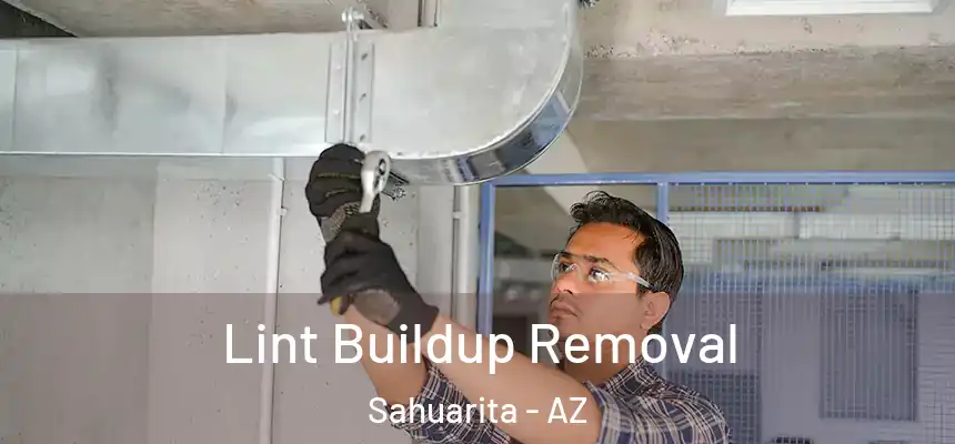  Lint Buildup Removal Sahuarita - AZ