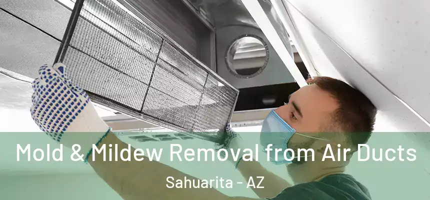  Mold & Mildew Removal from Air Ducts Sahuarita - AZ