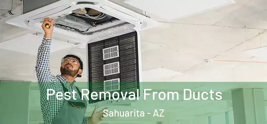 Pest Removal From Ducts Sahuarita - AZ