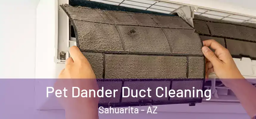  Pet Dander Duct Cleaning Sahuarita - AZ