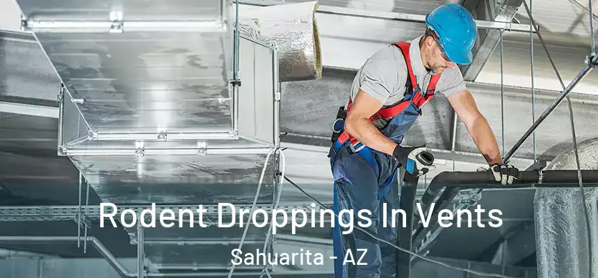  Rodent Droppings In Vents Sahuarita - AZ