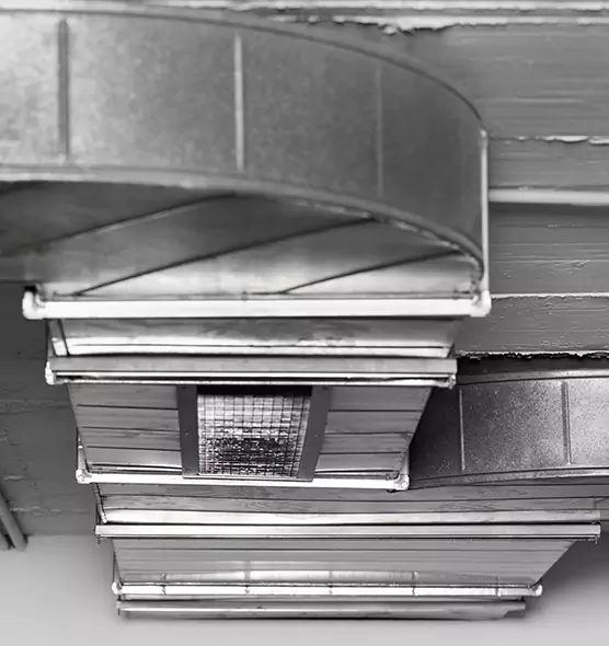 Professional Air Duct Pest Removal in Sahuarita, AZ