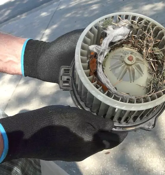 About Air Duct Rat Removal in Sahuarita, AZ