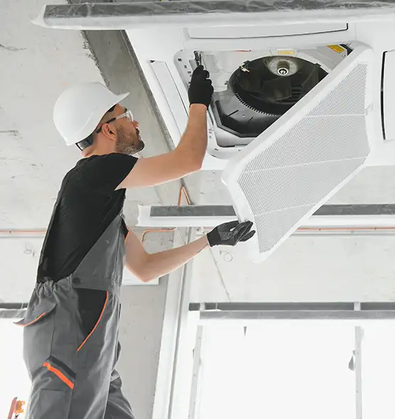 About Air Duct Rodent Removal in Sahuarita, AZ