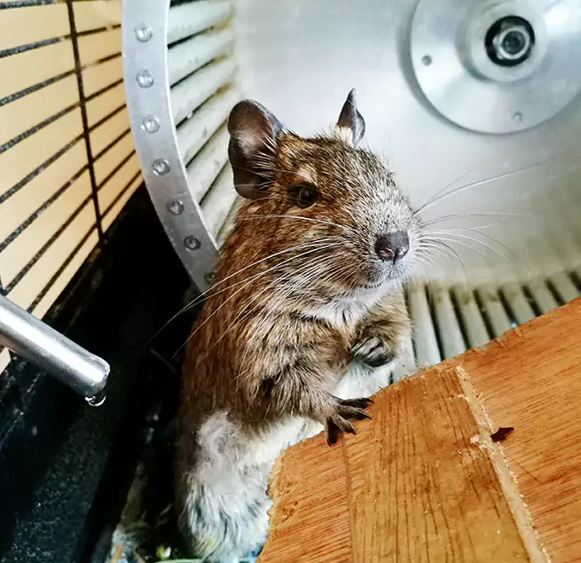 Why Homeowners & Businesses Trust Us Sahuarita, AZ?