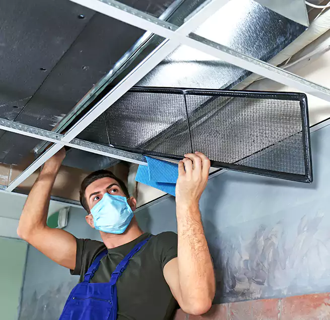 Why Homeowners Businesses Trust Us in Sahuarita, AZ