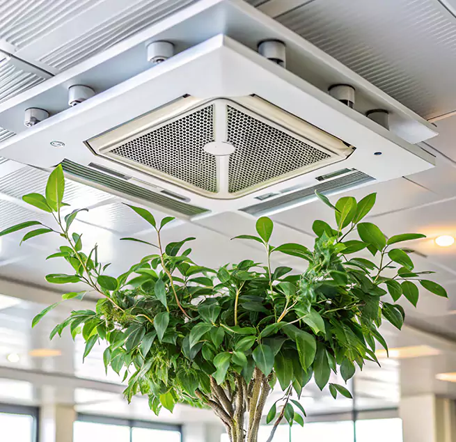 Why Homeowners & Businesses Trust Us in Sahuarita, AZ?