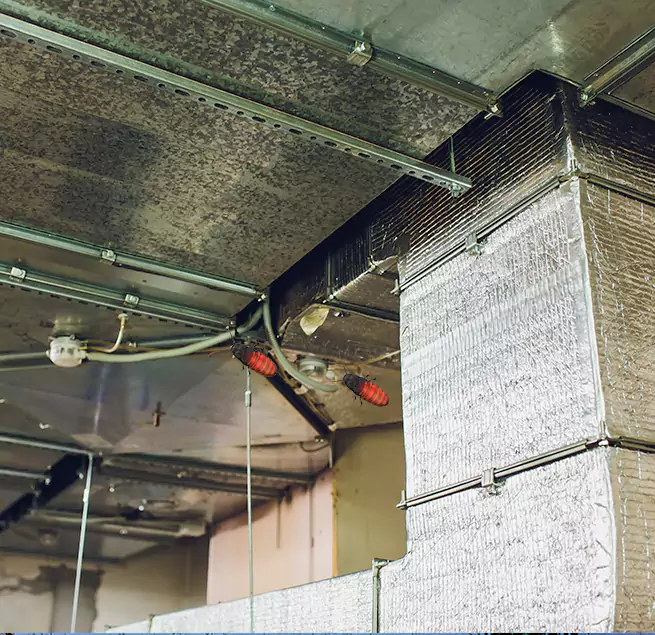 Why Homeowners & Businesses Trust Us Sahuarita, AZ?